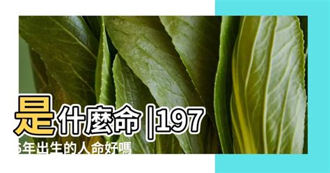 1976 屬|1976年出生是什麼命？